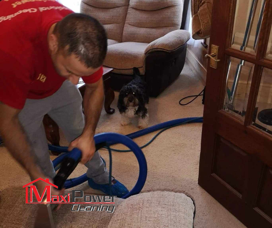 Upholstery Cleaning